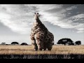 imagenes curiosas 1