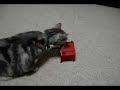 theremin cat.html