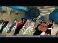 Freestar Bay Aquarium Commercial