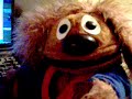 Can you feel the Rowlf tonight