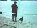 Boy and Dog fishing on Packery Channel