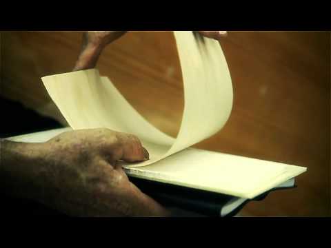 Video interview - Jean Louis Colmas on Wood Technology