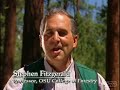 Oregon Forestry: Forest Fires