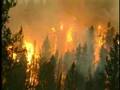 Oregon Forestry: Forest Fires