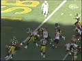 Polamalu vs. Palmer