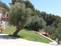 propriété,maison,villa,prestige,luxe,var,provence,cote d-azur,sanary sur mer