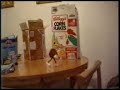 GALLETA MARBU A LA FUGA (animacion)