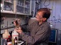 after a close examination of crude oil made from pig manure, chemists at the national institute of standards and technology (nist) are certain about a number of things.

most obviously, 