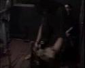 Incesticida - Breed