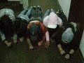 las mujeres en el piso .com las mujeres en el piso .com