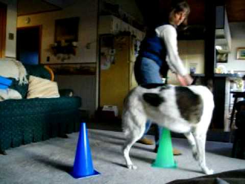 YouTube Preview Image