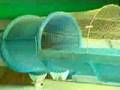 Water-World-Nucleus