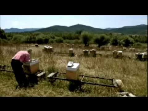 Sardiniens tödliches Geheimnis - Uranmunition und a ...