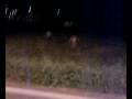 videos de 28082008254