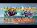 Ikan Hias Air Laut Dasar Yang Berbahaya