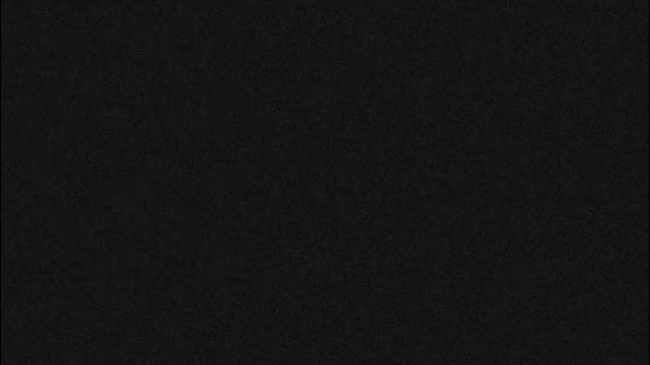 Live from the Surrey, B.C. border