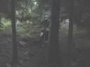 Il ValSesiano - WOODS PLAYGROUND Il ValSesiano - WOODS PLAYGROUND