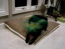 Ebony Eve Video 3