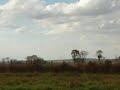 DSCN4535