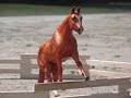 Breyer Beach: Love/Hate Story