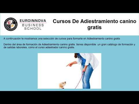 Cursos Youtube Online Euroinnova Cursos Youtube Online Euroinnova