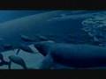 Fantasia - Tool Synch - 10,000 Days