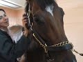 Barbaro: We Believe in Miracles Barbaro: We Believe in Miracles