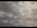 avion rc christen eagle avion rc christen eagle