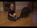 Cooper and Bruno