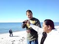 chappy beach. cape cod, massachusetts WE REP GUAM the671 chappy beach. cape cod, massachusetts WE REP GUAM the671
