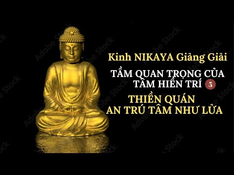 Kinh NIKAYA Giảng Giải - Tầm Quan Trọng Của Tâm Hiền Trí 5- Thiền Quán -  An Trú Tâm Như Lửa