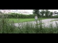 Trailers Parodies HD - TWILIGHT: BREAKING DAWN TRAILER (PARODY)