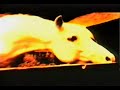 The Future Sound of London - Smoking Japanese Babe