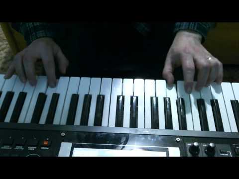 Video Motýl ( butterfly )