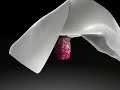 Dodec promo animation examples of work