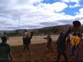 ラクダ動画