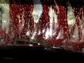 Car Wash!