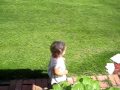 videos de Running with Chomper