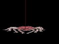 OMG!!! Spider Animated.gif ???? OMG!!! Spider Animated.gif ????