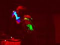 (Music Comedy) @---OaklynTV---@ (The Mole)