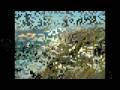 Mafalda Veiga - 