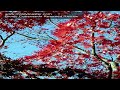 Bionic Commando Rearmed Review.mov
