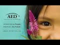  NMKT AED USAID newmarket Mexico Chile Brazil NLAI NMCH Latin America DGMS LinkAmerica US Analytics