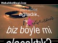 beni ancak seven anlar beni ancak seven anlar