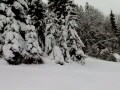 Faistenau am Hintersee