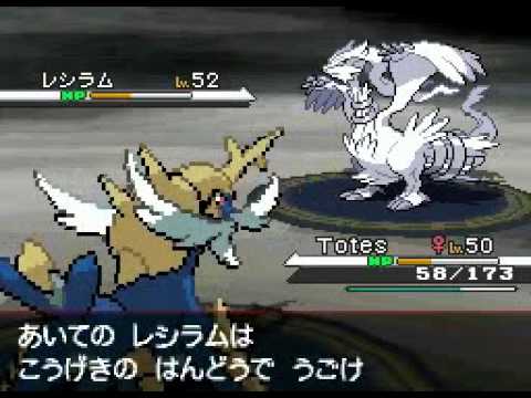 how to zekrom in pokemon black