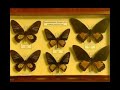 Museo de Ciencias Naturales