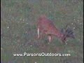 200+ Inch Buck Footage - Pt 2 200+ Inch Buck Footage - Pt 2