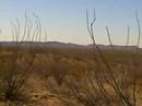 rattlsnake ridge population 1 human 5 dogs