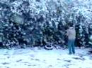 Snowfall 2008-2 Snowfall 2008-2